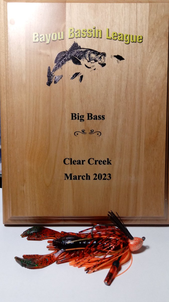 3rd place and big bass thanks to my Turbo Bug jigs.