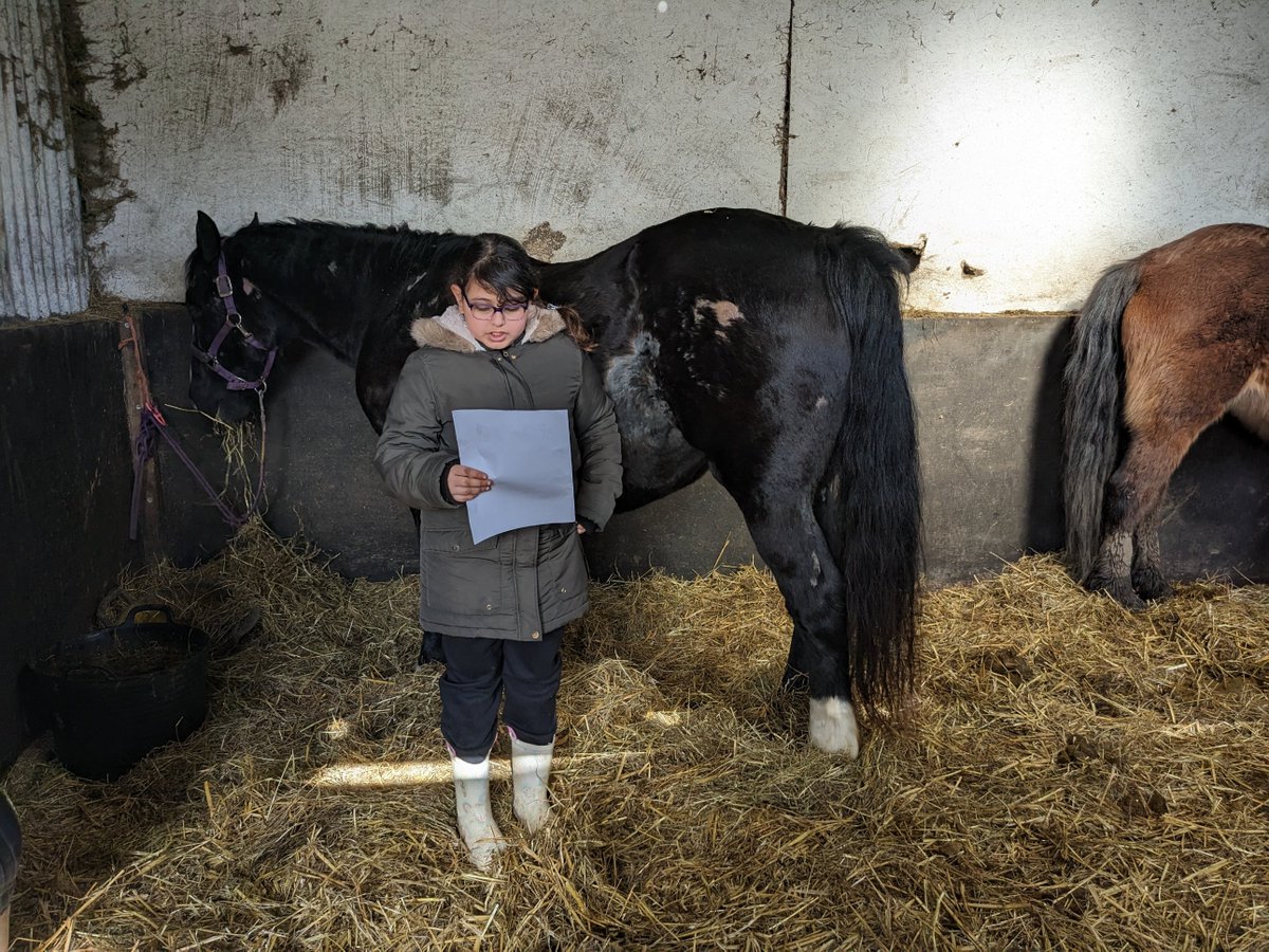 The children all did very well and confidently spoke about their horse. <a href="/shylowen/">Shy Lowen Sanctuary</a>   <a href="/PleasantStPrim/">PleasantStreet</a>