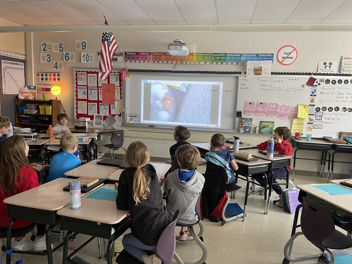 MrsWallsFC's tweet photo. Chicks are hatching in 4th grade! https://t.co/jLv1W2sLjr