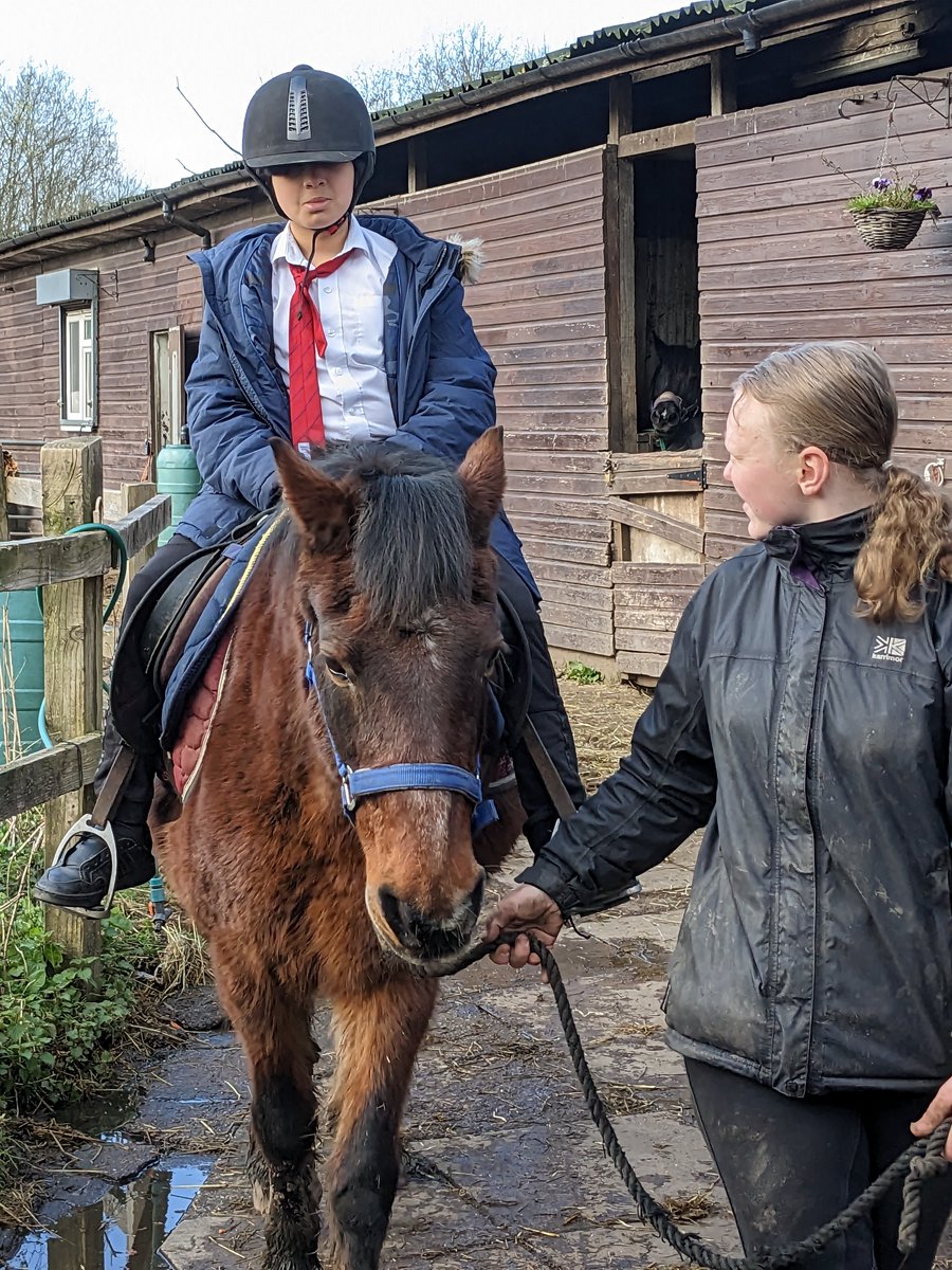 Everyone did really well on their horse. <a href="/shylowen/">Shy Lowen Sanctuary</a>   <a href="/PleasantStPrim/">PleasantStreet</a>