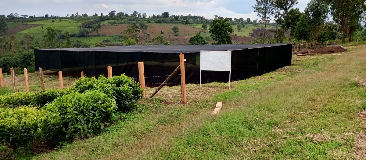 Good progress on the nursery sites for Mabale and Mpanga in Western Uganda.
@onetreeplanted is supporting the establishment of tea community tree nurseries under the #AFR100 projected implemented by @SolidaridadECA under the #Terrafund
#teaagroforestry