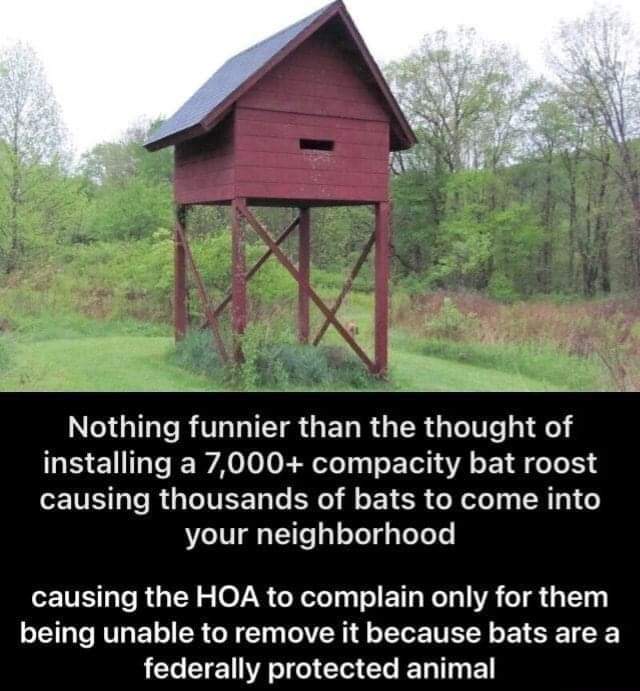 Katstruths's tweet photo. This is how you stick it the HOA and get rid of those pesky mosquitoes.
#AManWithAPlan https://t.co/iqSRyp27ws