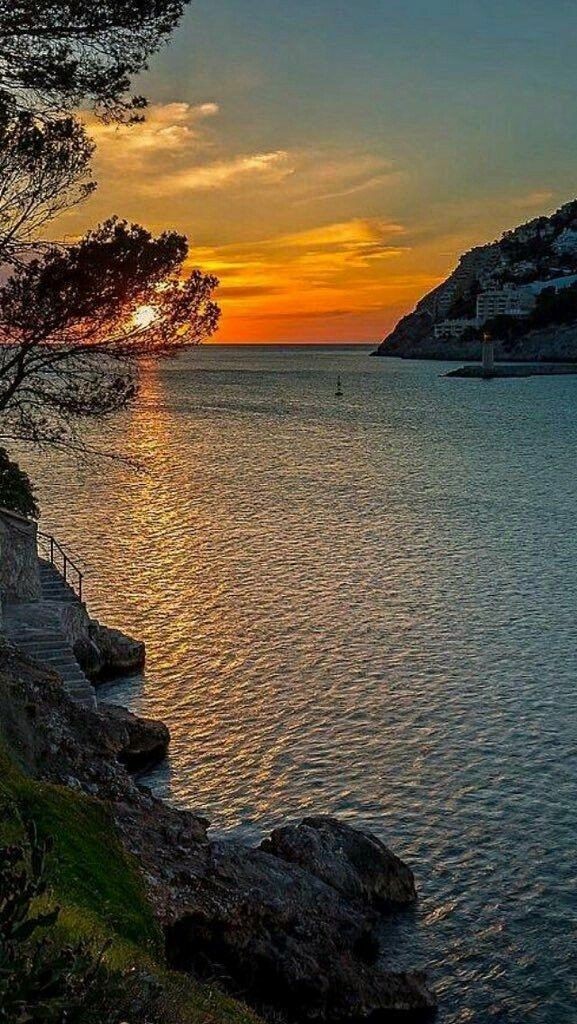 TLeoni311's tweet photo. Good evening 💫 https://t.co/wone80EPKS
