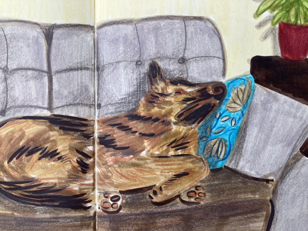 cathwardprints's tweet photo. A sketch of Nala from the weekend, chilling after a hard walk 🤭
.
.
.
#germanshepherd #dogsofinstagram #dog #sketch #sketchdaily #dogsketch #germanshepherdsofinstagram #germanshepherdsketch #drawing #drawingsketch #sketchbook #artistsketchbook #sketchbookinspiration #tombow https://t.co/pkTkbZUKJh