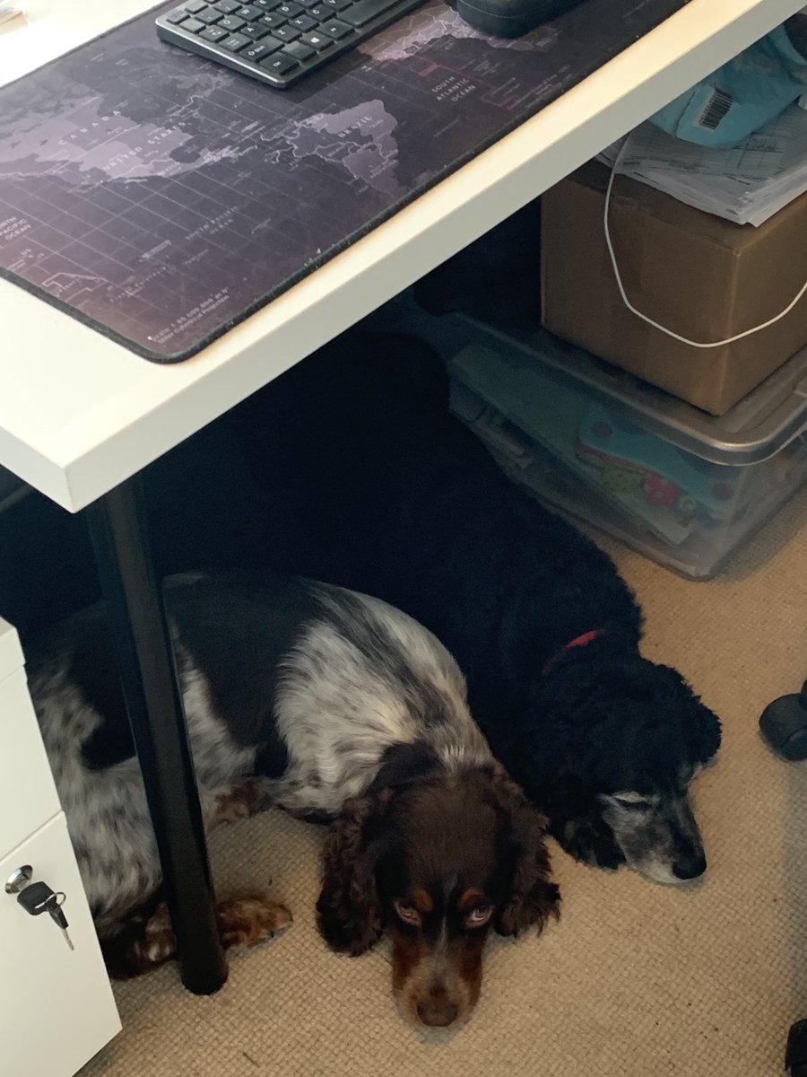 People of Leeds tweet media