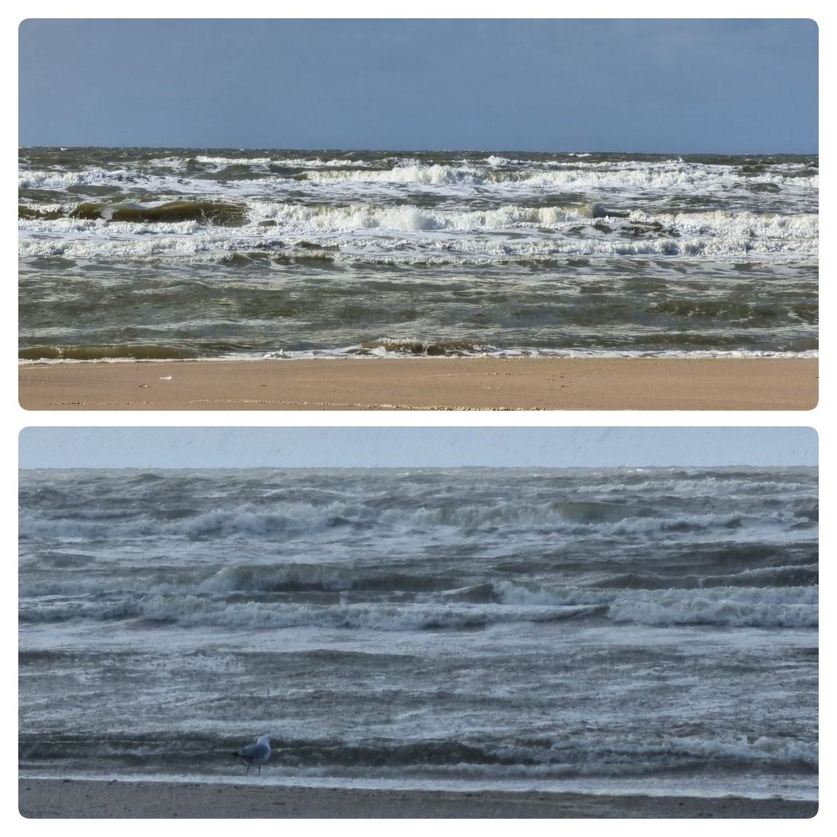 Perfecte weergave van mijn innerlijk: onrustige zee, zon afgewisseld met een fikse hagelbui.
Wetende dat het óók weer rustig wordt, nu uitwaaien en evenwicht hervinden.
#balans #sittinginthefire #ilovemyjob en soms ook niet ..