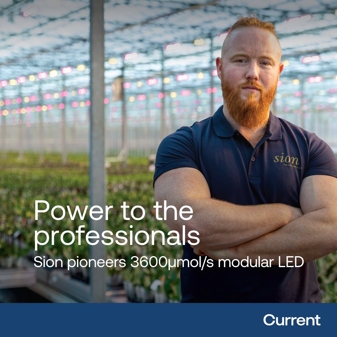 currenthort's tweet image. Sion Young Plants B.V. teams up with Current for a sustainable, innovative horticultural lighting upgrade. Arize® Element R1000 fixtures reduce energy consumption by 30%+, and the modular Arize® L2000 LED fixture allows for optimal light spectrum exploration. #Current #modularled