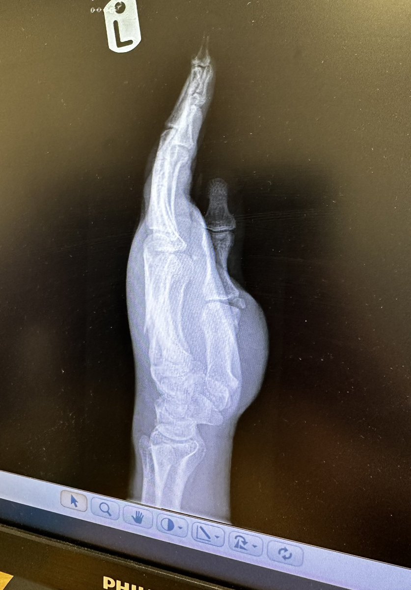 Andy Castell tweet media