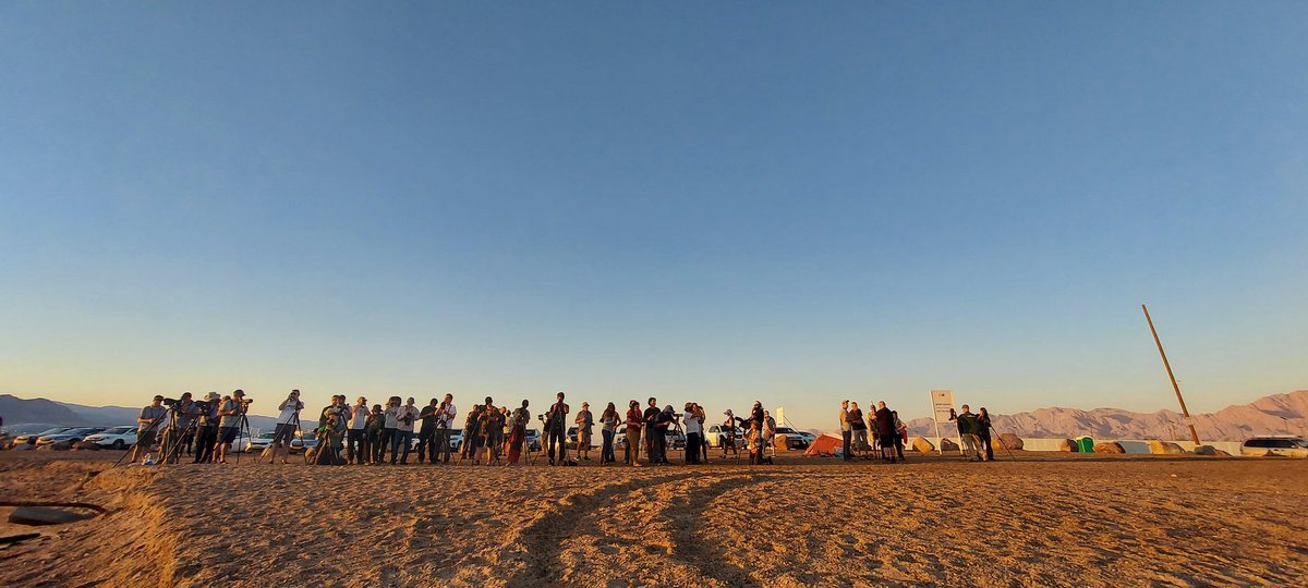 flywaychampions's tweet image. #COTF23 #RaceDayRoguesGallery - the madness of North Beach at dusk! The last few diurnal species out on the Red Sea - a sight for sore and tired eyes.....
