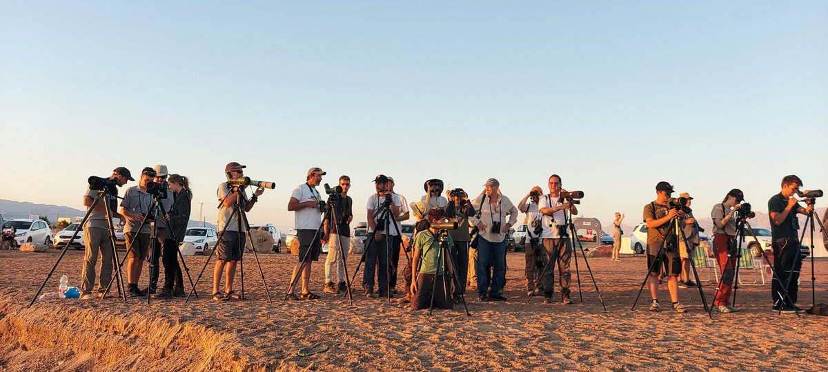 flywaychampions's tweet image. #COTF23 #RaceDayRoguesGallery - the madness of North Beach at dusk! The last few diurnal species out on the Red Sea - a sight for sore and tired eyes.....
