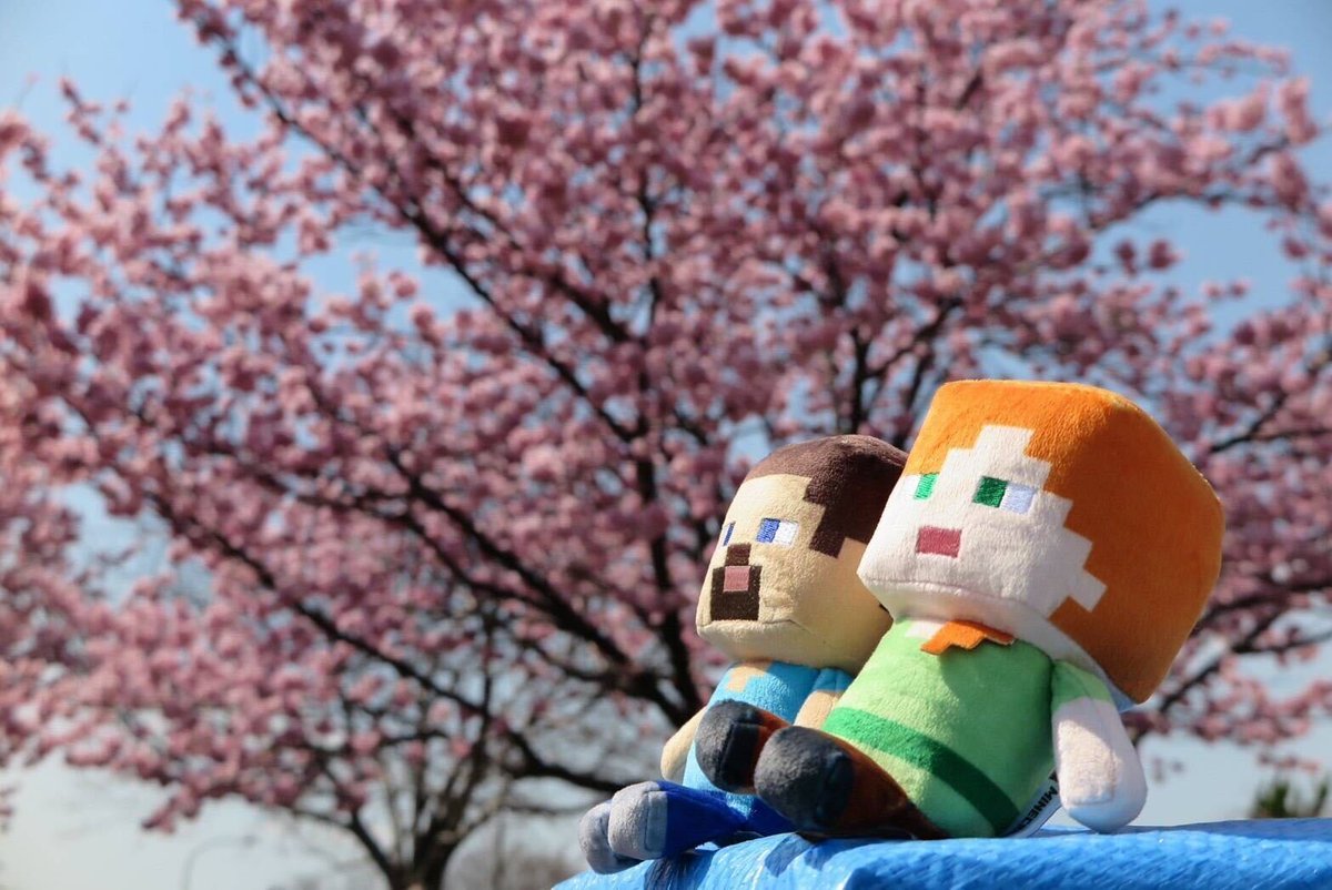 Minecraft's tweet photo. It's cherry blossom season in Tokyo and some of our friends had to take a look! 😊

@minecraftjapan https://t.co/HxG1fCc8Nq