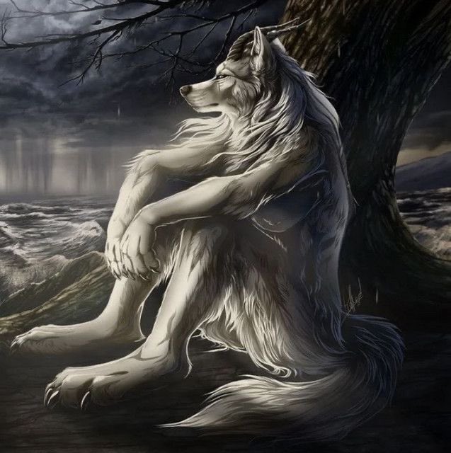 Zizou 👑 tweet media