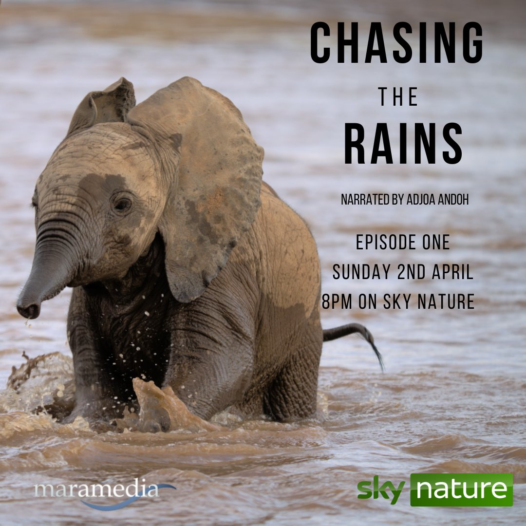 Maramedia tweet media