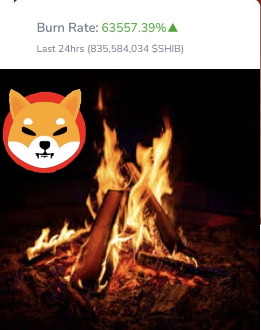 MapShibaUnited's tweet photo. Shiba inu Crazy Burn Rate, Last 24 hours 63.357% Wow.
All the Way to ATH Soon.
Shiba is Majestic.#ShibaUnited https://t.co/4sA9EmChnl