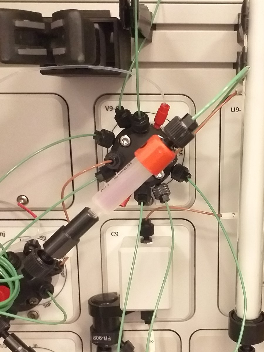 Project_INDEPTH's tweet image. “From genes to proteins”  - internal mobility student workshop @Uniwersytet_GD.