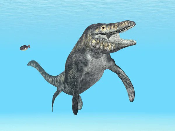 MMosasaur's tweet photo. Happy Mosasaur Monday, Mosa Pups!

RT if you'd smash this smile stricken specimen... ✨OR IF YOU LOVE MOSASAURS!!!✨ https://t.co/YMhr6pJQDT