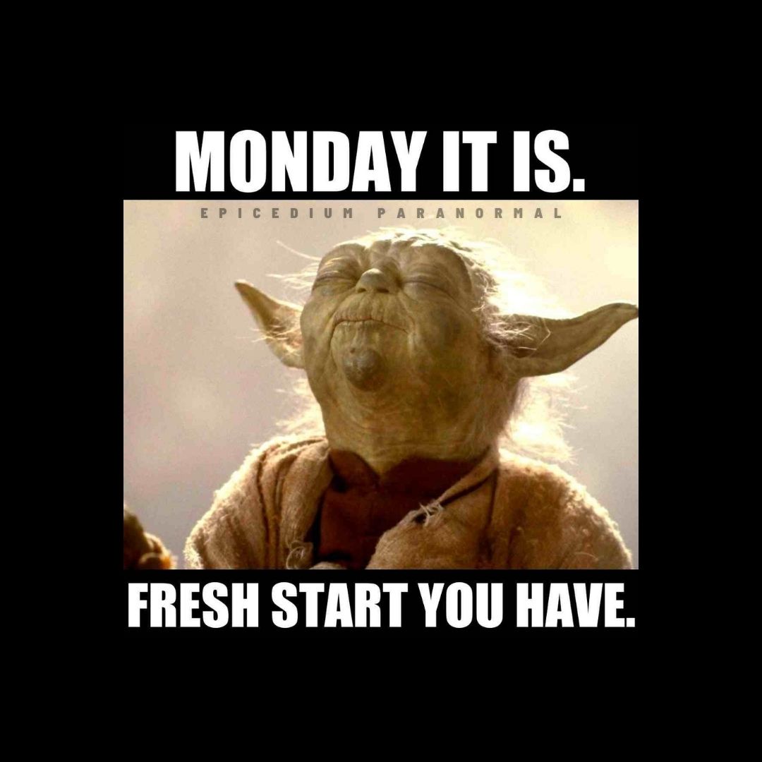 EpicediumNJ's tweet photo. We hope everyone's Monday is going well ๐ Back to the grind we go!
#epicedium_paranormal #monday #paranormal #linkinbio #investigatingtheunknown #staycurious #paranormalinvestigators #beginningoftheweek #funnymeme #workgrind #research #powerthrough #starwars #yoda https://t.co/gJANM6Af54