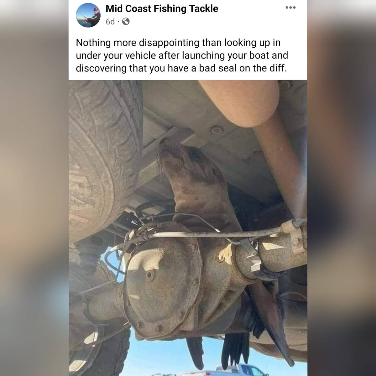 BatteryCables's tweet photo. Nothing worse than a bad seal 🤦‍♀️🦭 
Goodmorning! Hope you all have a great Monday morning. 
#meme #mememonday #Ford #dodge #Cummins #JeepWrangler #jeep #batterycables #custom #4x4 #carshow #mesa #arizona https://t.co/kDpopROwJy