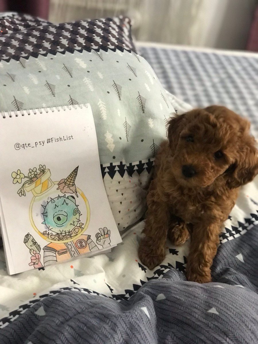 qte_psy's tweet photo. Hey @FishBallerz !๐ ๐ซถ
@CaptGlubber The guard dog on my ship found this in the hold, what are we going to do?
@SloppyPencil
#FishList #FishBallerz #Glub #FishyQuestion https://t.co/oFGHRBUpZw