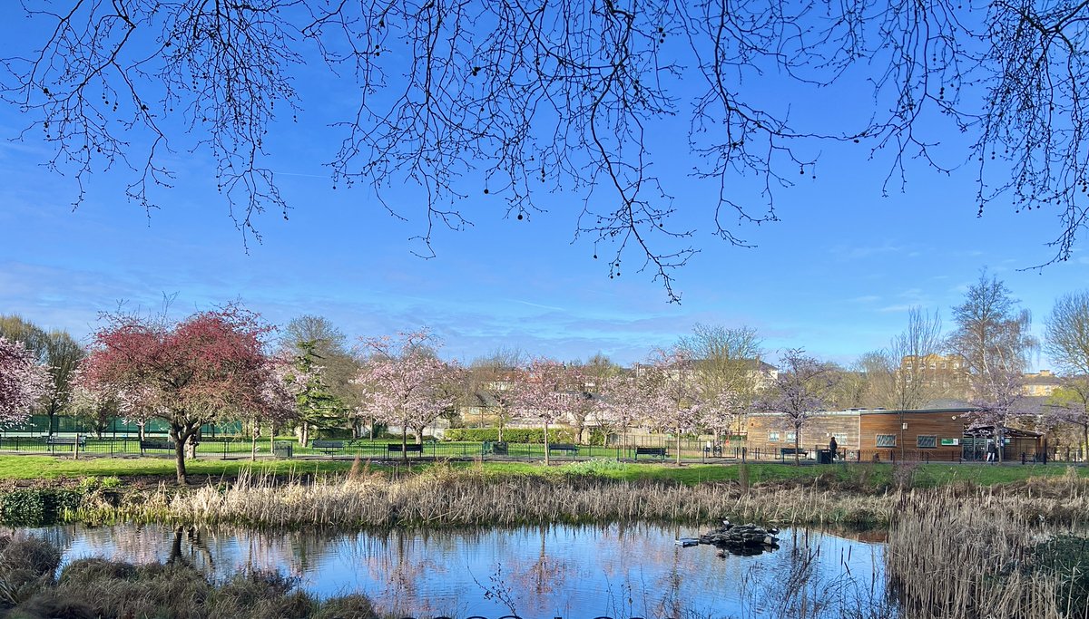 Is that Spring we see in Wandsworth? 

Cannot wait for King George's Park entrance on Buckhold Road/ Neville Close to open! 

It'll be the perfect place to enjoy the lovely weather that's sure to come 😍🤗