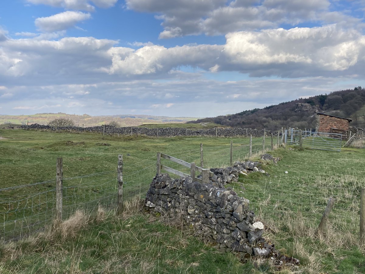 Heather McLellan tweet media