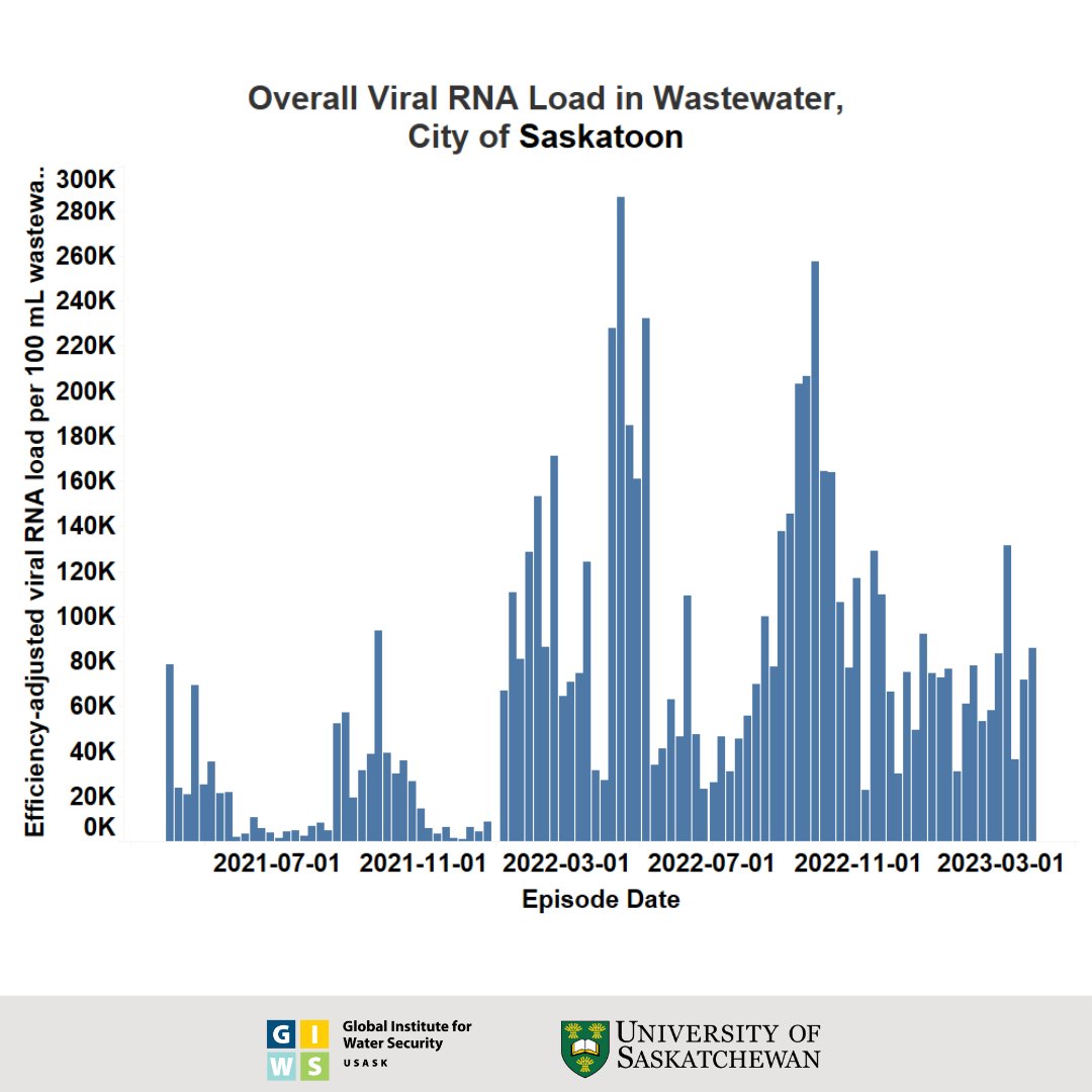usask_water's tweet photo. #Saskatoon's viral RNA load this week is considered "medium" because it is within the range (>20,000 ≤ 100,000; ∆C <100%) considered as the medium level in Saskatoon. #COVID19 #COVID19SK #WastewaterTesting #PublicHealth https://t.co/wJaSngHMk7