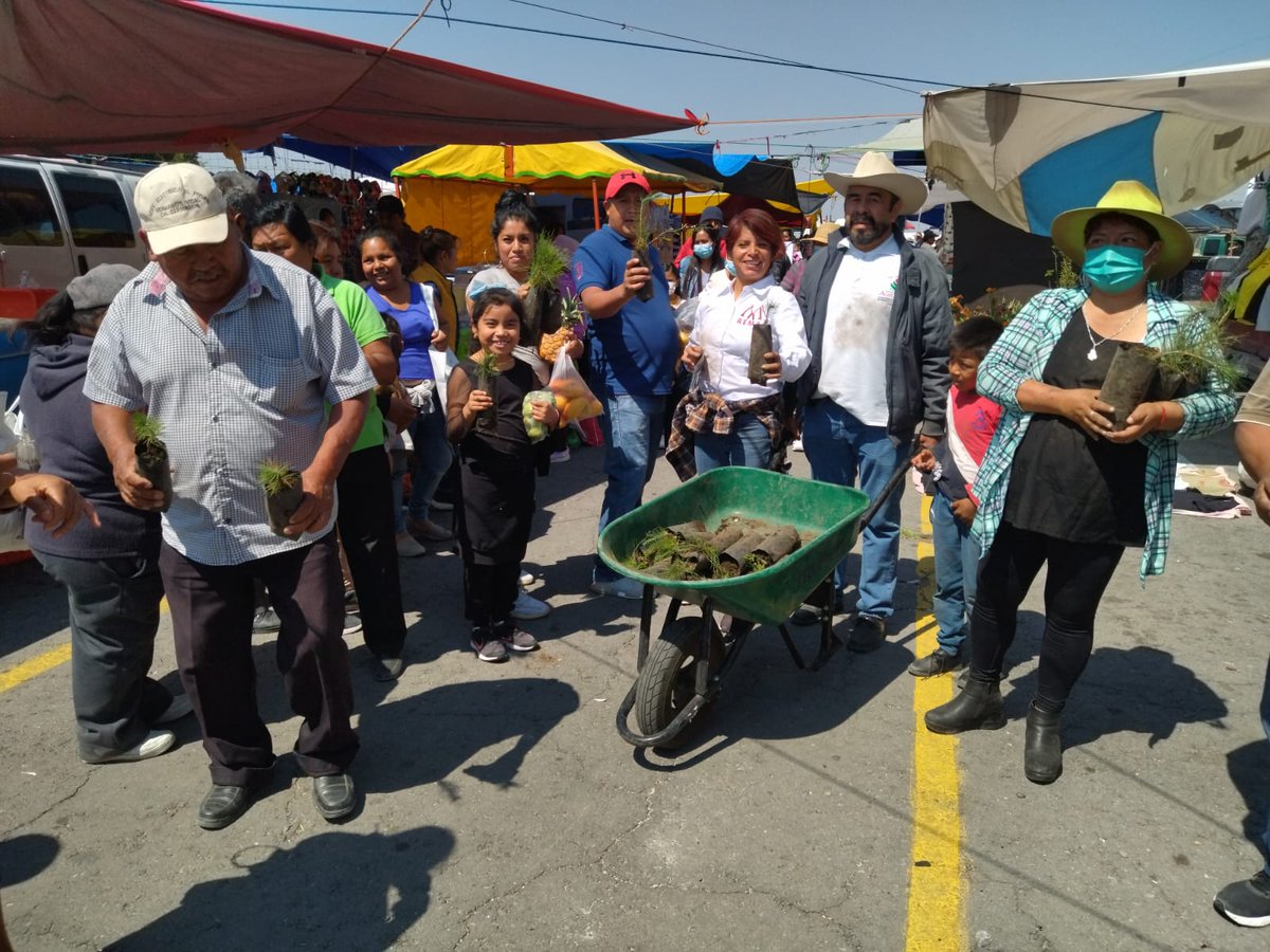 Reforestación
#SembrandoEsperanza