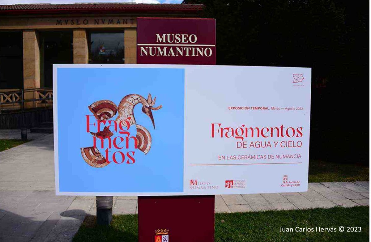 Which bird species did Celtiberian people (~100-200 BC) see and represent? We now know a little more thanks to the exhibition Fragmentos de agua y cielo en las cerámicas de Numancia (´Fragments of water and sky in Numancia´s ancient pottery´), which I co-organized and curated⏩👇