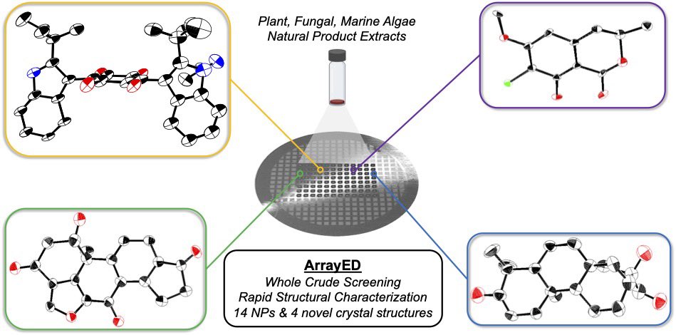 Nelson Group tweet media