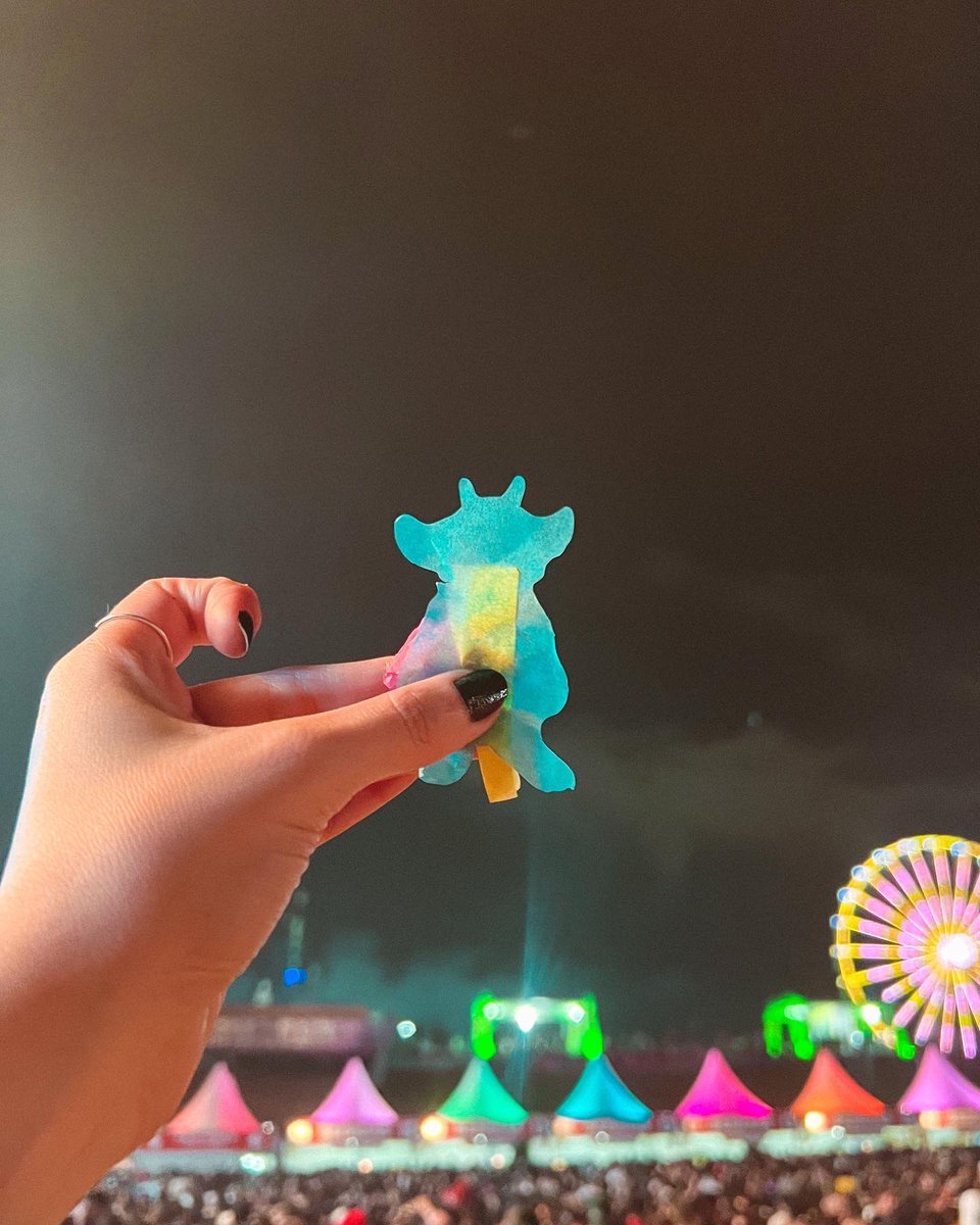 ExperimenteSP's tweet image. Lembrança do show do Twenty One Pilots no Lollapalooza Brasil: um Ned de papel que voou durante Trees, a última música. 

Voltem logo, mas voltem com show solo. 🫶