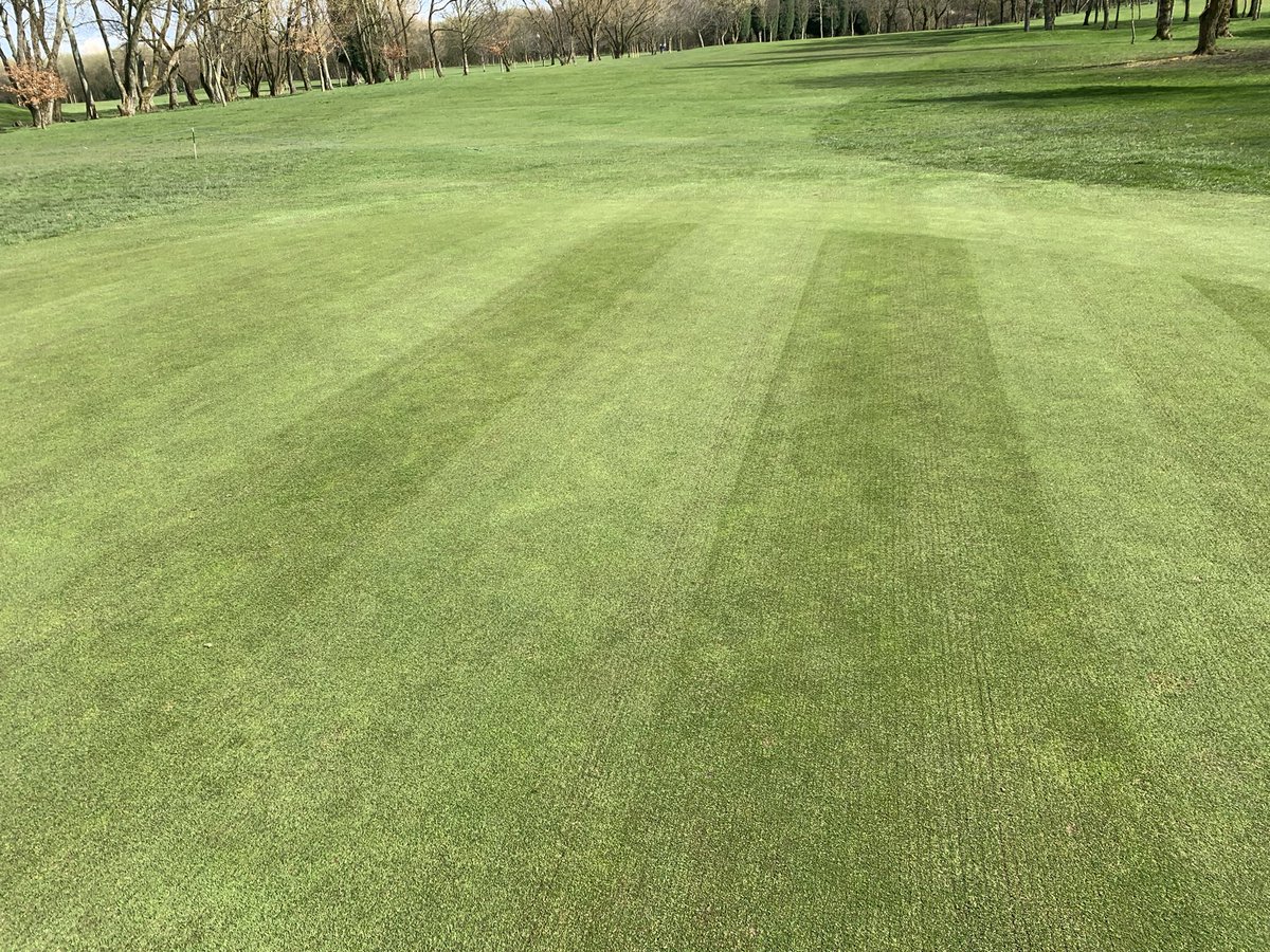 kenston2000's tweet photo. Productive day @DentonGolfClub. All greens scarified down to 8mm, followed by a groom and cut. Finished off with around 5 tonnes of sand dressing to restore surface levels #thatchmanagement https://t.co/JlGWoyZqvR