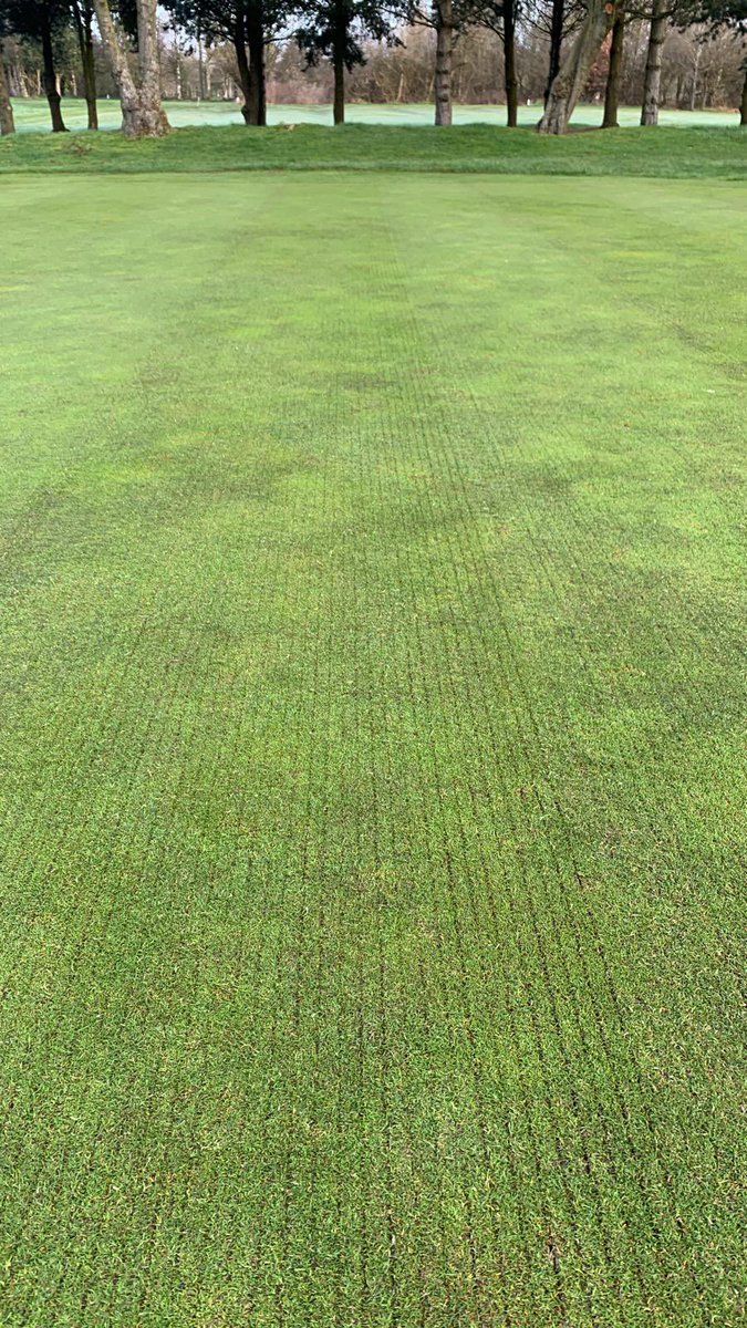 kenston2000's tweet photo. Productive day @DentonGolfClub. All greens scarified down to 8mm, followed by a groom and cut. Finished off with around 5 tonnes of sand dressing to restore surface levels #thatchmanagement https://t.co/JlGWoyZqvR