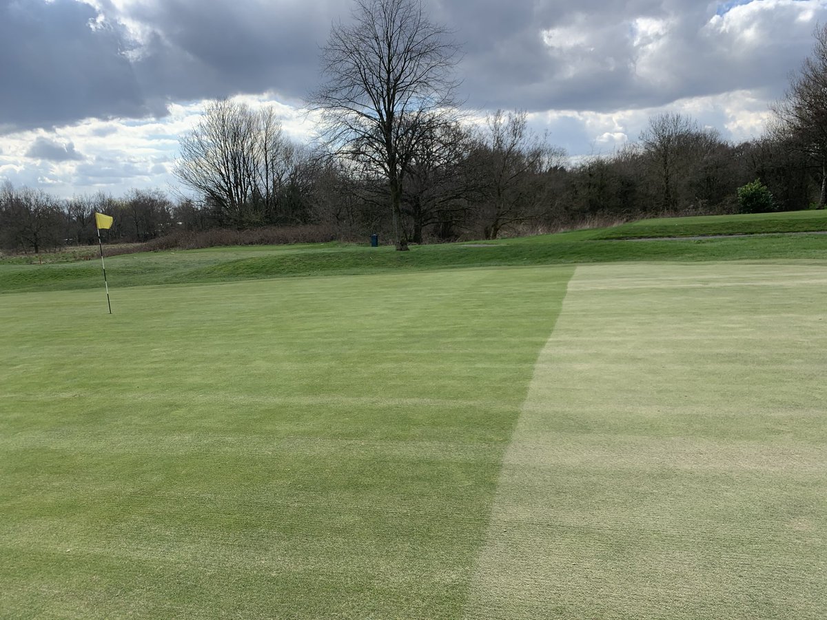 kenston2000's tweet photo. Productive day @DentonGolfClub. All greens scarified down to 8mm, followed by a groom and cut. Finished off with around 5 tonnes of sand dressing to restore surface levels #thatchmanagement https://t.co/JlGWoyZqvR