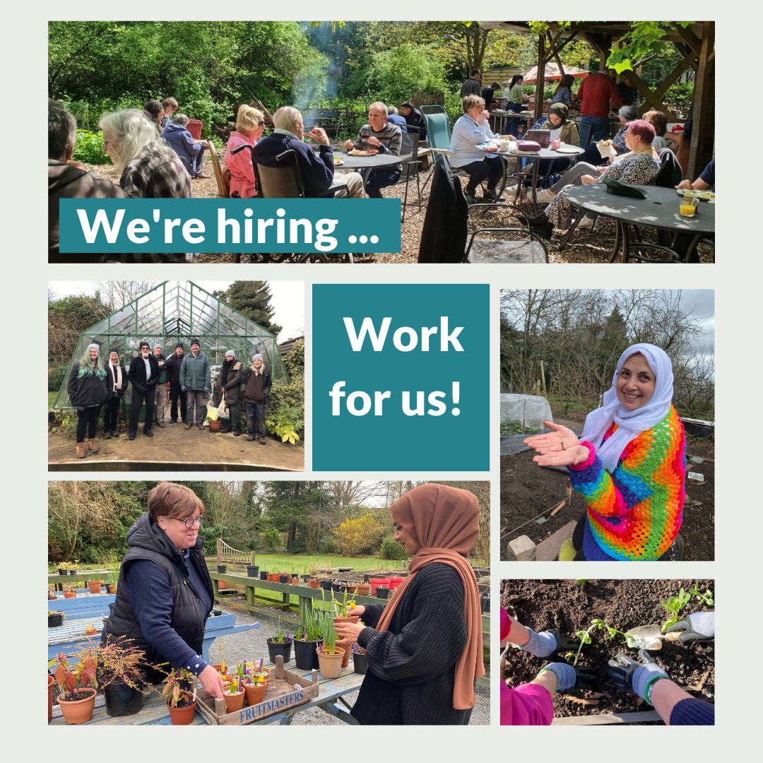 martineau27's tweet photo. ⏲️Final call on this one - work for us! We're recruiting for a Therapeutic Horticulturalist Lead here at Martineau Gardens - a terrific job - deadline is Wed 29 March, 5pm  Download the information here https://t.co/E3EgG5jtb6 https://t.co/Pjq3h6sBcc