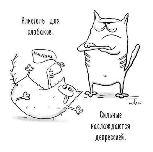 atekfon's tweet photo. Ольга Мелех
Челлендж #Imacat https://t.co/yLh7orznyJ