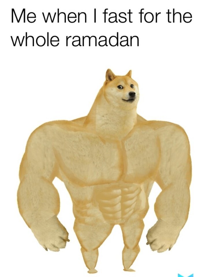 MuslimCat_Memer's tweet photo. #strong #Dog #CatsOfTwitter
#gym #Memes #Ramadan #memecoin

I am STRONG HEHEHE!! 💪💀 https://t.co/KUQT9d7Q2X