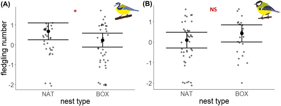 J. of Avian Biology tweet media