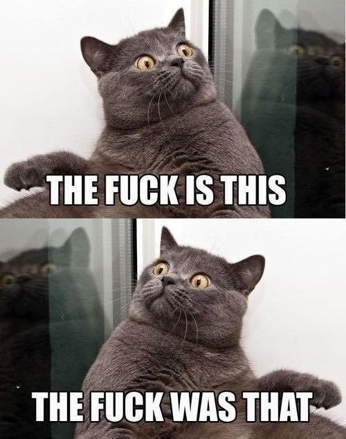 Dude_Where's_My_Peg?🌖 tweet media