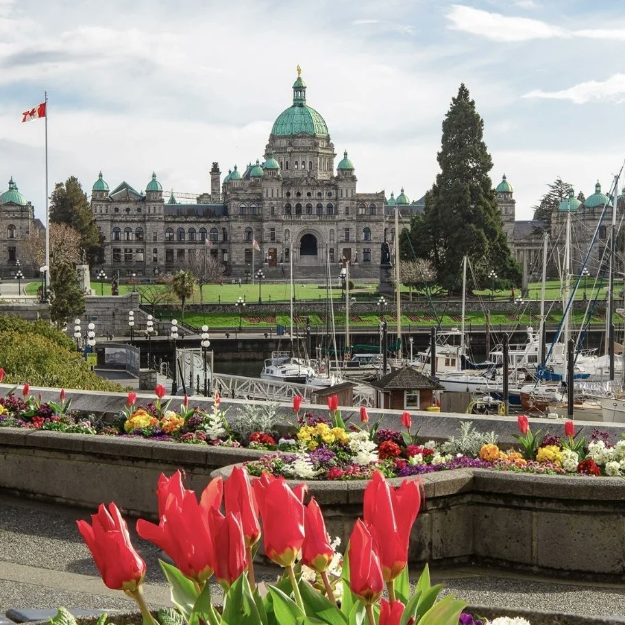 Finnegan66🍀 tweet media