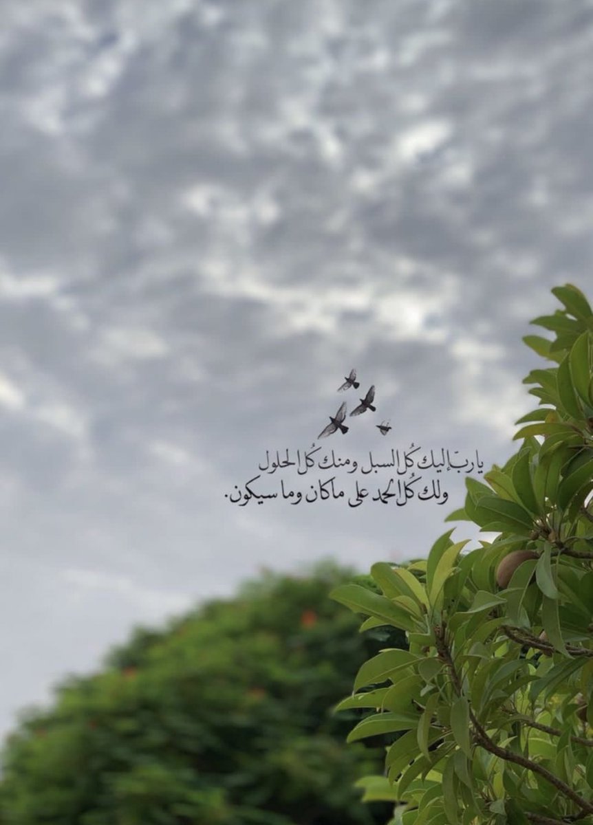 zaidmhmoodd's tweet photo. يارب اليك كل السبل ومنك كل الحلول https://t.co/nWAtNSspwk
