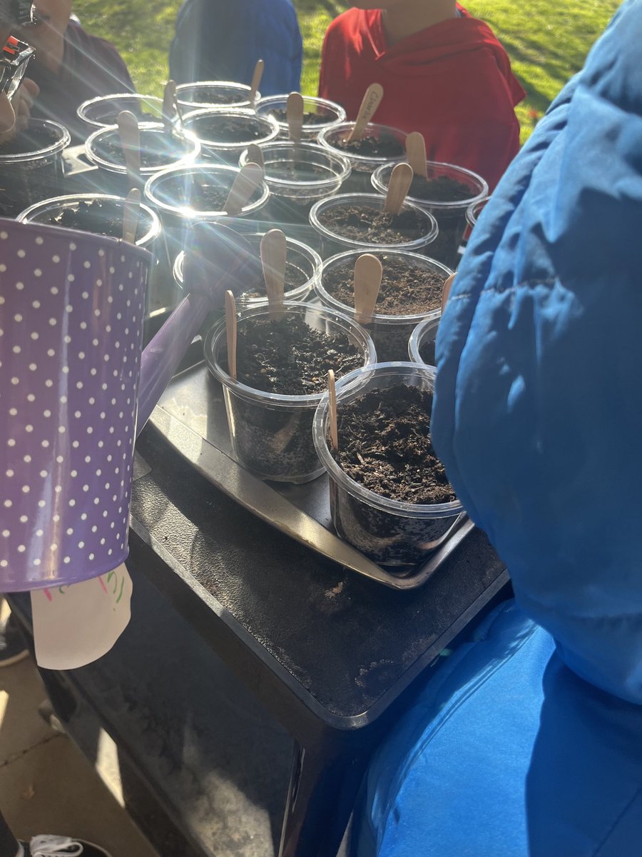 Making plant observations and watching the seeds grow #ParkviewSTEM #Parktastic