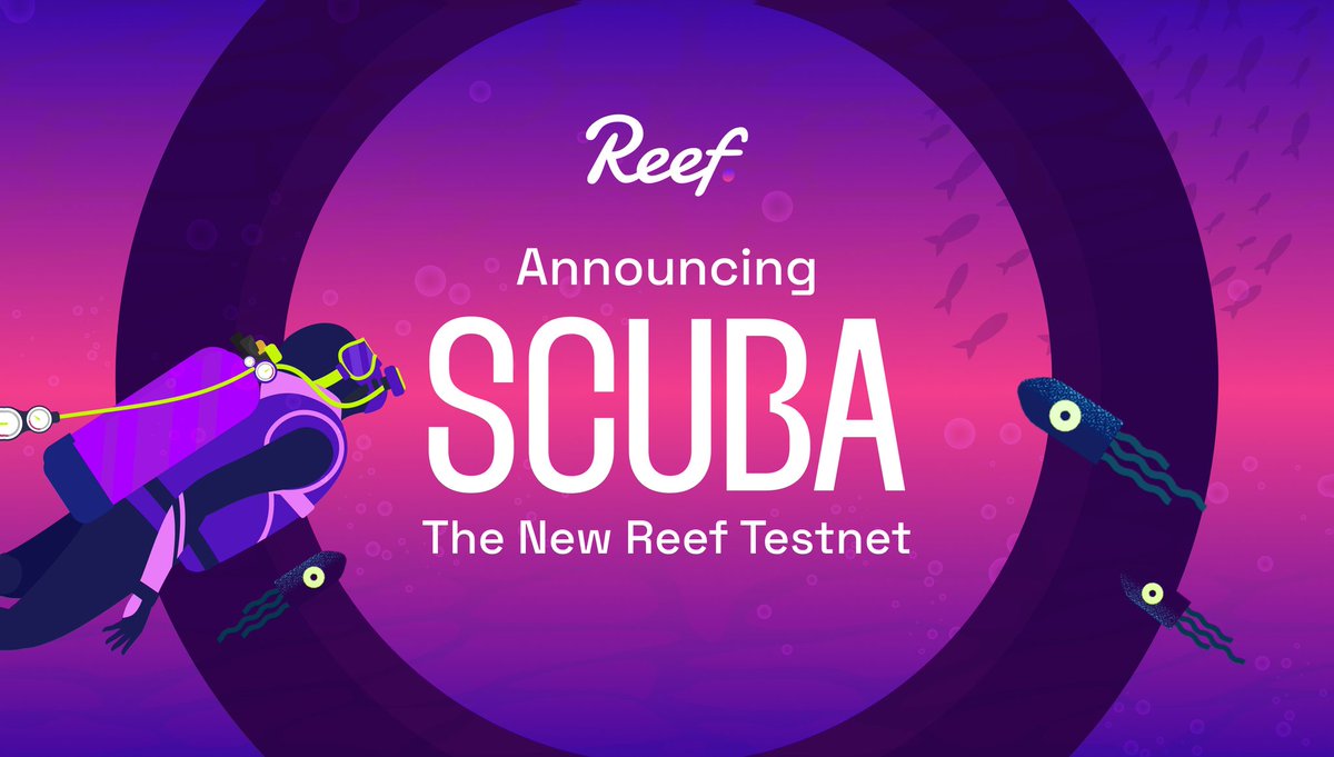 Reef_Chain's tweet photo. (1) 👨‍💻 Attention all developers! We’re launching Scuba, the new #Reef Testnet!

⚡️Scuba provides enhanced indexing and chain data query features with @subsquid to power the next-gen #dApps of #Web3.

Read more 🧵 https://t.co/weuSWRnVjN