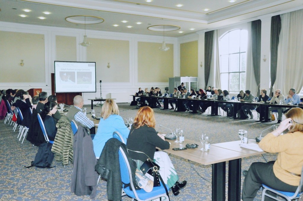 MOEPPMKD's tweet photo. MoE #Shukova: #nature protection & #biological #Diversity know no borders. We are actively involved in the Regional Platform for the Management of Large Carnivores in the #Dinaric-#Balkan-#Pindus Region. 🇲🇰, 🇷🇸, 🇲🇪, 🇭🇷, 🇸🇮, 🇧🇦, 🇦🇱, 🇽🇰, 🇧🇬, 🇬🇷 https://t.co/gt7139e9tD #environment https://t.co/6ONkmMJSFE
