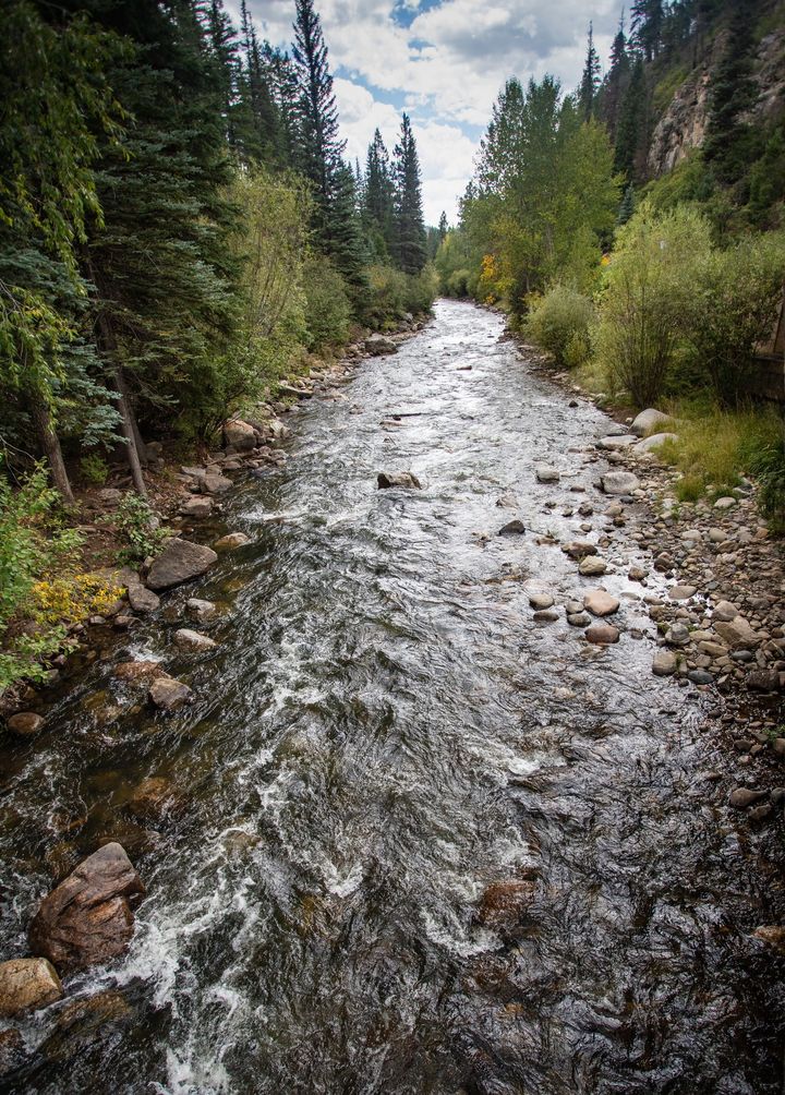 NewMexico's tweet photo. Considered by many to be one of the best fishing waterways in the state, the Pecos River offers year-round opportunities for reeling in trout. 🎣  #NMTrue 

📍 Pecos, NM https://t.co/TcVO5Y9fVM