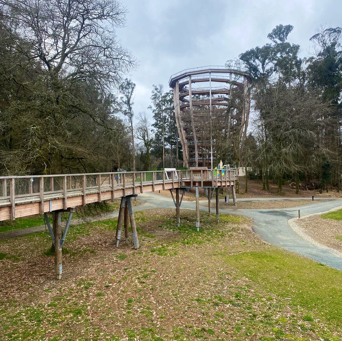 mickdela's tweet photo. The slide down was worth the walk 🛝🛝🛝 #beyondthetrees #treetopwalk https://t.co/v4Dc4nTvVy