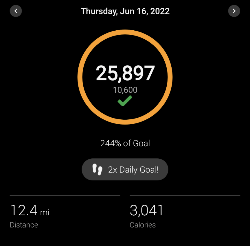 Kate1527712's tweet photo. @KipThaSippa @Bonnaroo My steps from last year... A casual 53.4 miles over 4 days 🙃 https://t.co/UsqROt9jwf