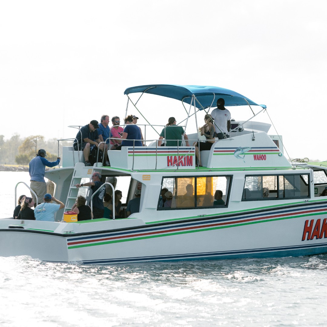 Belize Dive Haven tweet media