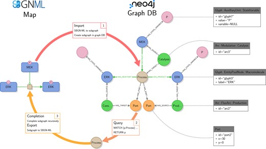 Making biological pathway diagrams queryable like other data resources using Systems Biology Graphical Notation (#SBGN) diagrams and Neo4J by Adrien Rougny @irinabalaur @AlexanderMazein at @lcsb_uni_lu @hms_sysbio @sbgnnews