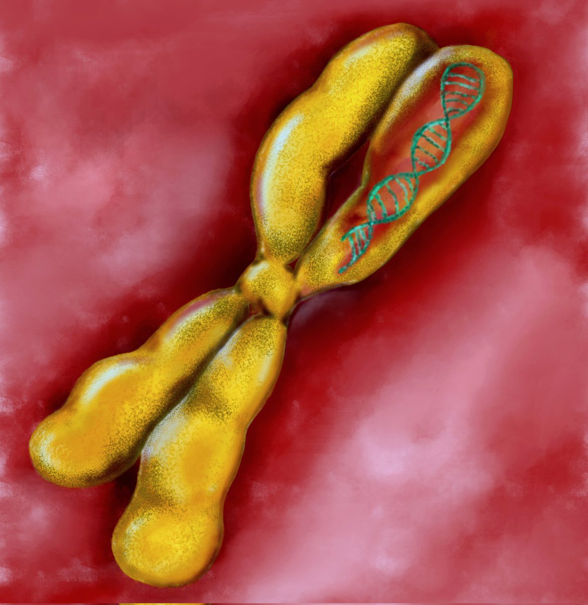 not_my_lily's tweet photo. Just started my journey with #digital #bio illustrating 💚 https://t.co/guelSNuFPK