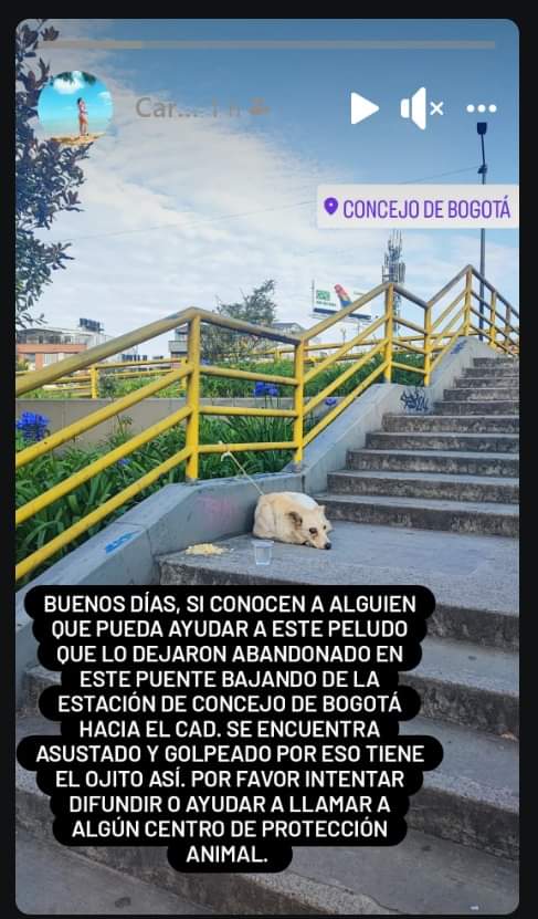 tostikar's tweet photo. @nacional_memes Espero compartan https://t.co/wVNQGwRGBJ